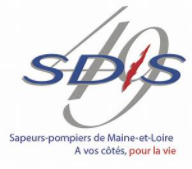 sdis logo